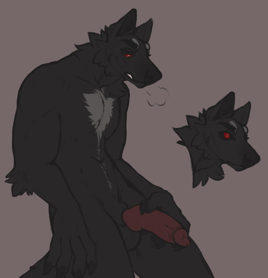 Wolf being huffy